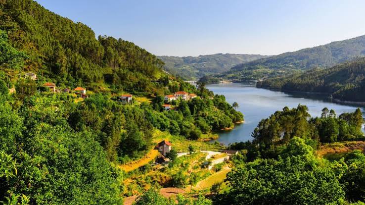 Omgeving
